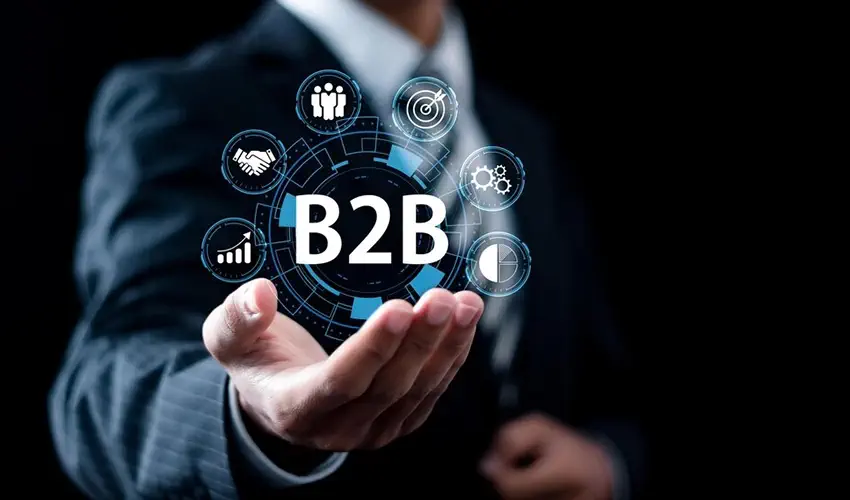 کاربردهای مدل B2B
